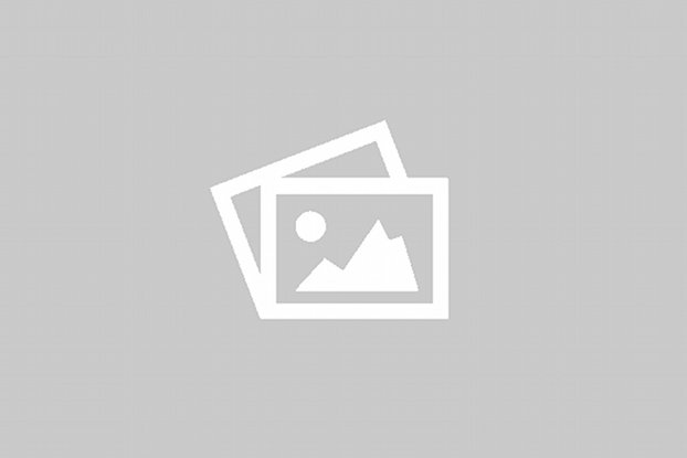 160 CC & Above Category